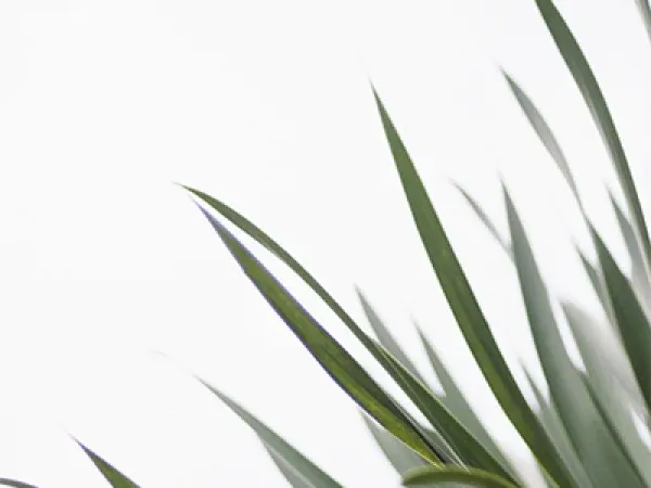 Gabel Group: a green revolution Gabel Group: a green revolution